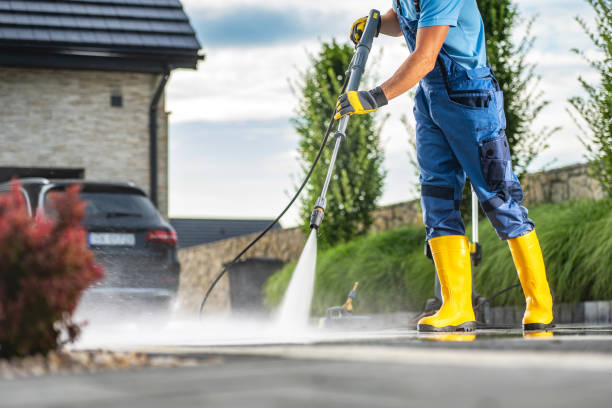 Animal Enclosure Cleaning in Moscow Mills, MO